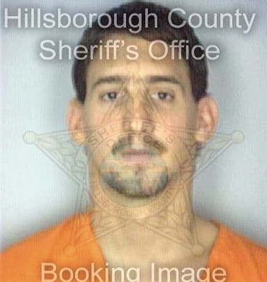 Stevenson David - Hillsborough County, FL 