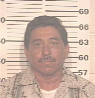 Garcia Juan - Hidalgo County, TX 
