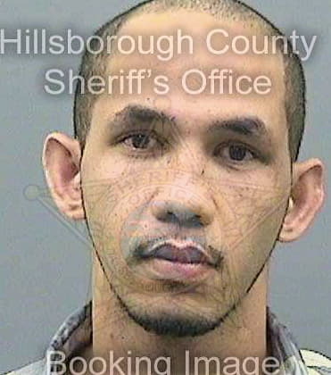 Lewis Andre - Hillsborough County, FL 