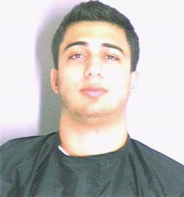 Amalfard Borna - Dekalb County, GA 