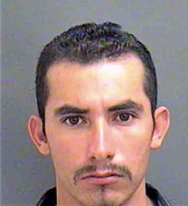 Rocha Braulio - Mecklenburg County, NC 