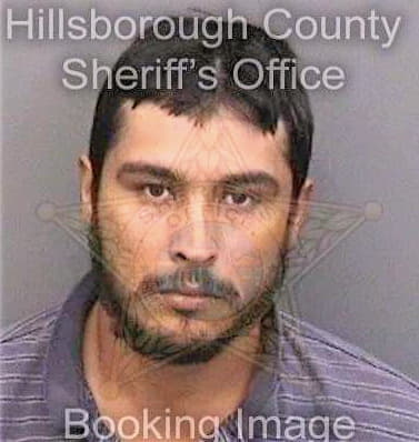 Martinezzarazua Cezario - Hillsborough County, FL 