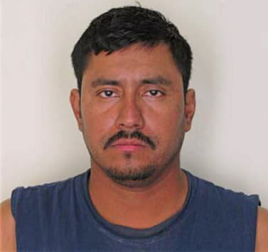 Diazgonzalez Horacio - Hillsborough County, FL 