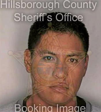 Rosales Juan - Hillsborough County, FL 