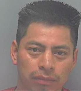 Diego-Virves Geremias - Lee County, FL 