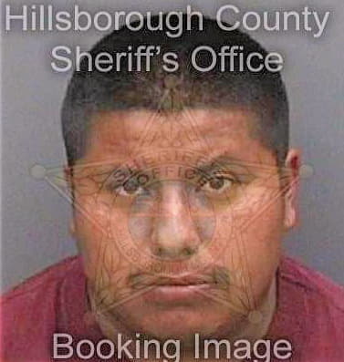Calihuatehuintle Jaime - Hillsborough County, FL 