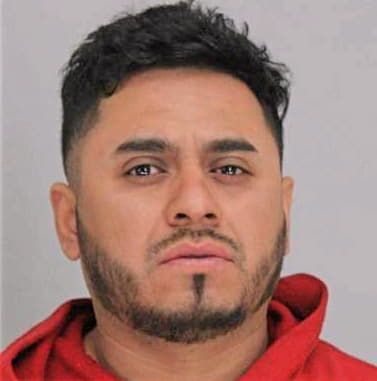 Ramirezperez Noel - Dallas County, TX 