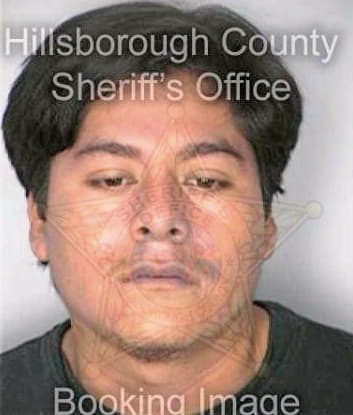 Perez Gavino - Hillsborough County, FL 