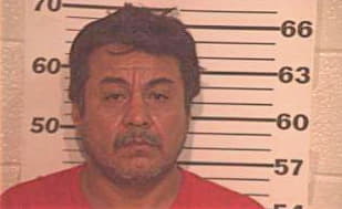 Trevino Jose - Hidalgo County, TX 