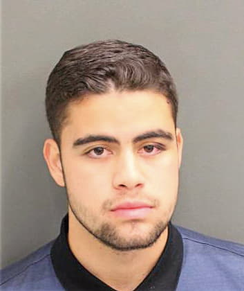 Ramosocasio Reinaldo - Orange County, FL 