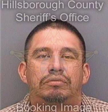Hernandez Benjamin - Hillsborough County, FL 