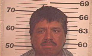 Hernandez Dionicio - Hidalgo County, TX 