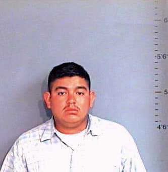 Goel Alejandro - Brazos County, TX 