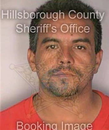 Sermeno Carlos - Hillsborough County, FL 