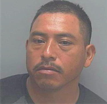 Perez Domitilo - Lee County, FL 
