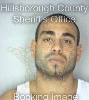 Julia Erik - Hillsborough County, FL 