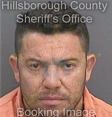 Romero Juan - Hillsborough County, FL 
