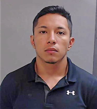 Sepulveda Antonio - Hidalgo County, TX 