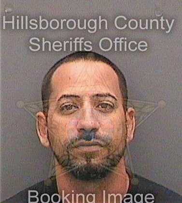 Diazcotto David - Hillsborough County, FL 