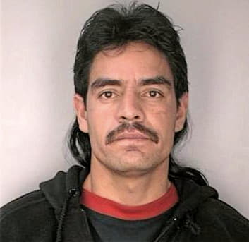 Mandujano Fermin - Hillsborough County, FL 