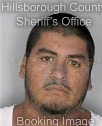 Tejada Kevin - Hillsborough County, FL 
