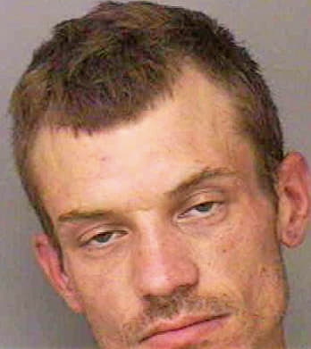 Smith Ryan - Polk County, FL 