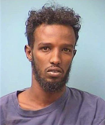 Ahmed Sahal - Stearns County, MN 