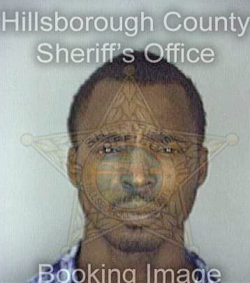 Robinson Vincent - Hillsborough County, FL 