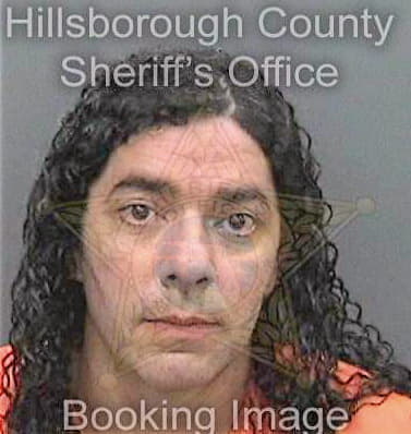 Vinceroherrera Alexander - Hillsborough County, FL 