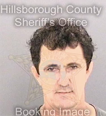 Medinaperez Guido - Hillsborough County, FL 
