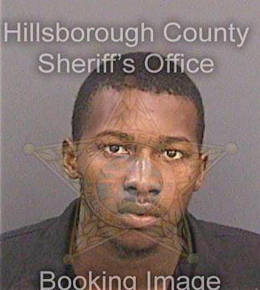 Sampson Kelvin - Hillsborough County, FL 