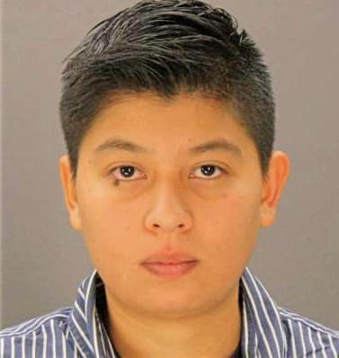 Hernandezreyes Lucero - Dallas County, TX 