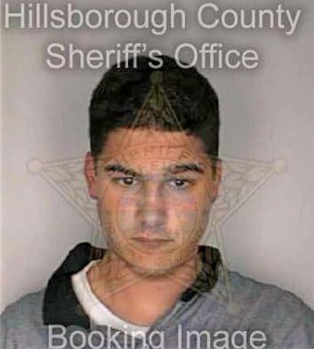 Ballinger William - Hillsborough County, FL 