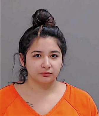 Trevino Alexia - Hidalgo County, TX 