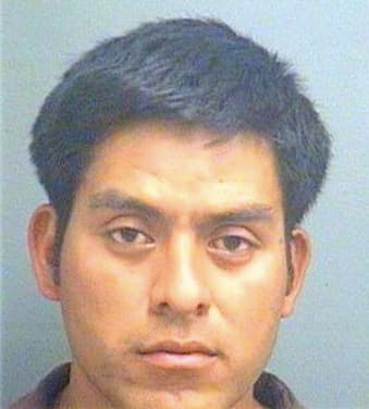 Perezvelasquez Braulio - PalmBeach County, FL 