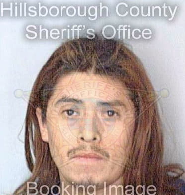 Zaragoza Enrique - Hillsborough County, FL 