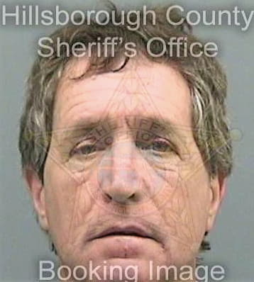 Lavin Gregory - Hillsborough County, FL 