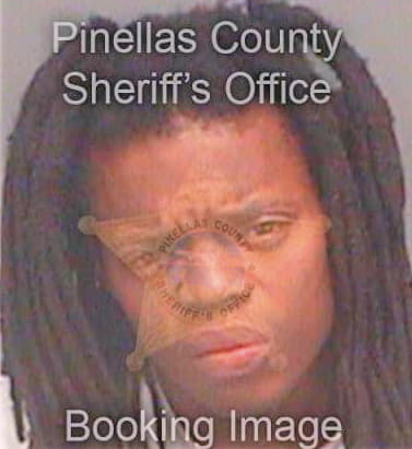 Robinson Justin - Pinellas County, FL 