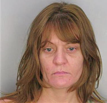 Snyder Pamela - Hillsborough County, FL 
