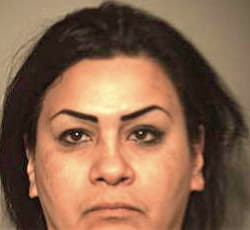 Garcia Sanja - Hidalgo County, TX 