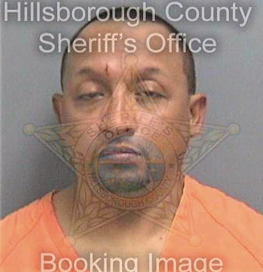 Lara Christian - Hillsborough County, FL 