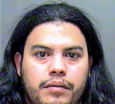 Castillo-Rodrig Gergely - Mecklenburg County, NC 