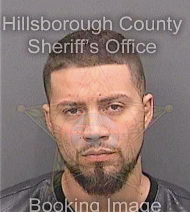 Aliceasantiago Joe - Hillsborough County, FL 