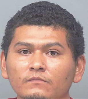 Frias Luis - Gwinnett County, GA 