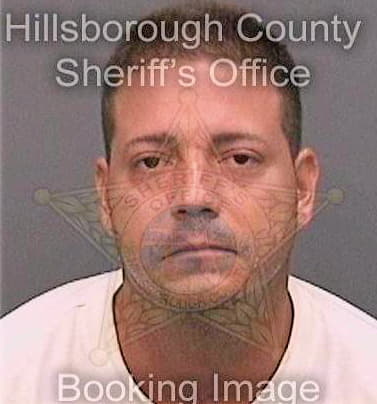 Gonzalez Manuel - Hillsborough County, FL 