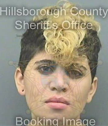 Demirdjian Michelle - Hillsborough County, FL 