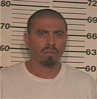 Garcia Noe - Hidalgo County, TX 