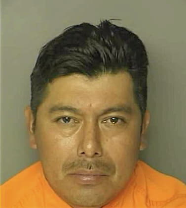 Vidal Porfirio - Horry County, SC 