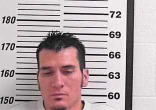 Gonzales Tyson - Davis County, UT 