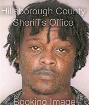 Dale Joshua - Hillsborough County, FL 